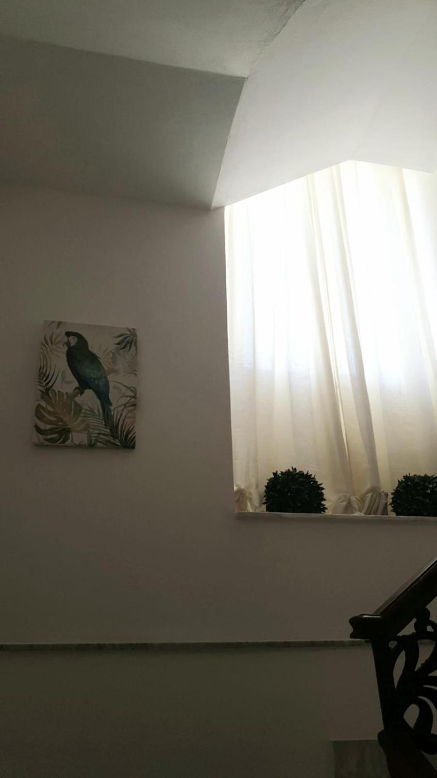 Mia'S Rooms Noto Exterior foto